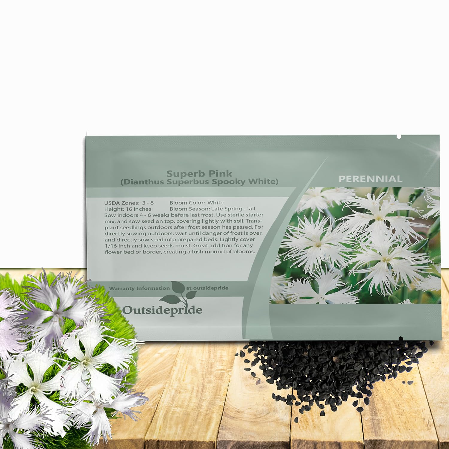 Amazon.com : Outsidepride Superbus White Dianthus Seeds for